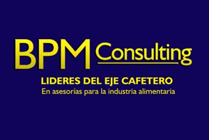 Logo BPM Consulting