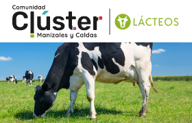 Información sobre el Clúster de Lácteos en el boletín Cámara al Día.